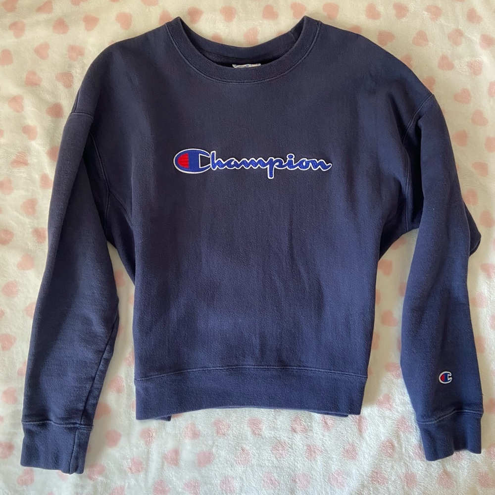 navy blue champion sweater